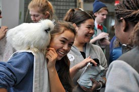 EXAM WEEK CAN BE … FUN? By Yudaam