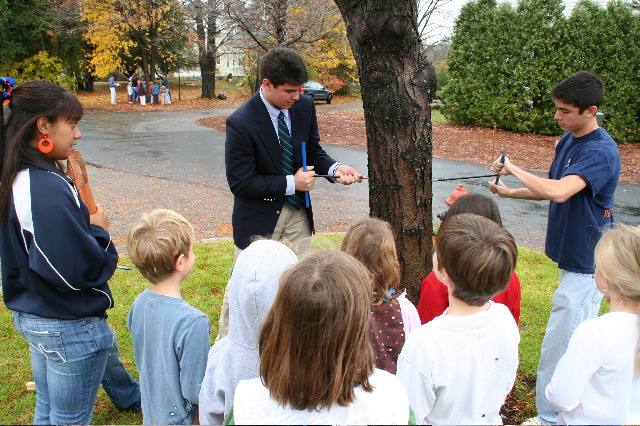 coring_tree_1