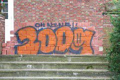 IMG_8261
