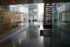 IMG_1571