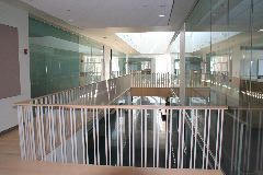 IMG_1582