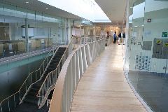 IMG_1590
