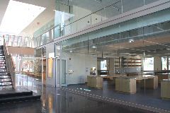 IMG_1553