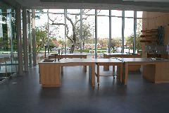 IMG_1598